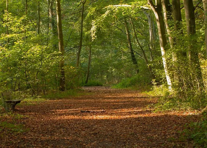 De Lierhand Oda ve Kahvaltı De Lier